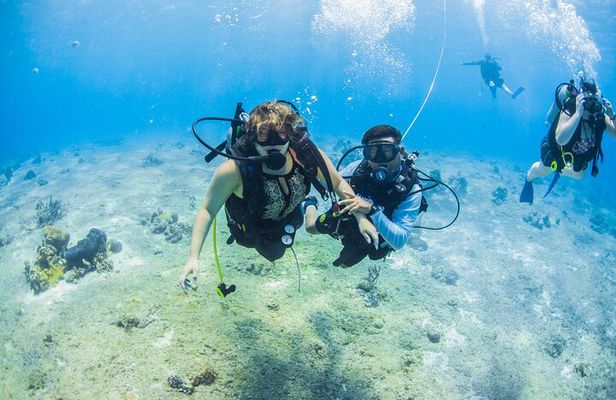 Diving Experience PADI Open Water Certification Course