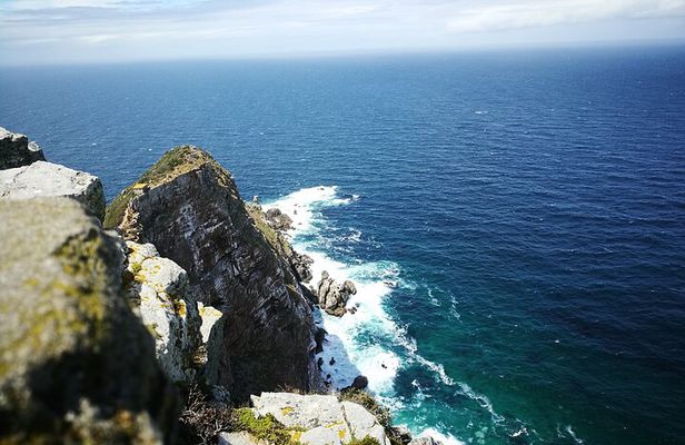 Best of the Cape Full Day Private Tour
