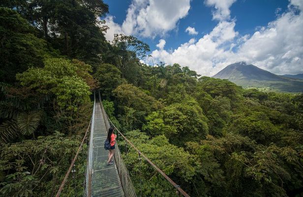 Arenal Hanging Bridges From Arenal