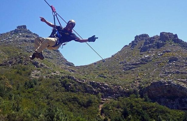 Cape Town Zipline, Penguins and Cape of Good Hope Private Tour