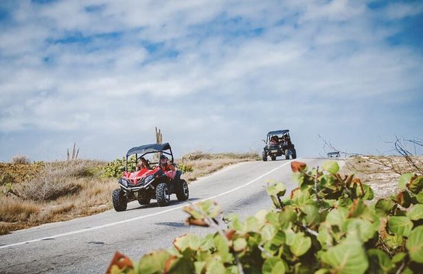 Art, Facts & Baby Beach UTV Adventure by Fofoti