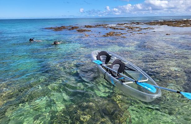 Clear Bottom Kayak - Guaranteed to see Turtles!
