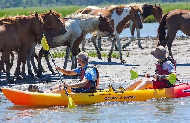 Kayak Tour along Assateague & Chincoteague Island, Virginia