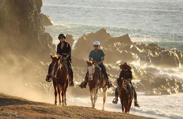 Horse Back Ridding Tour on the Pacific Ocean & Desert