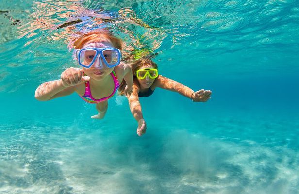 Oahu Coastline Cruise: Turtle Snorkeling and Jumping Platform