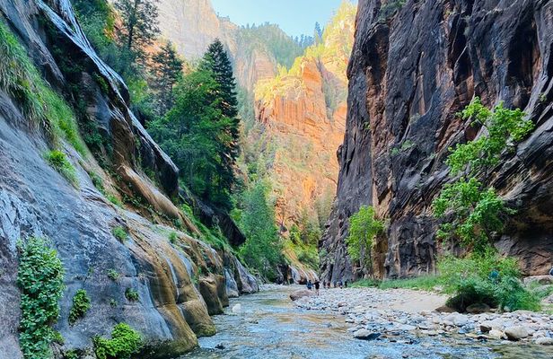 The Narrows: Zion National Park Private Guided Hike