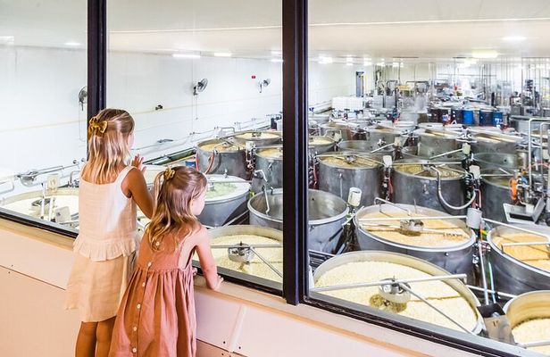 The Ginger Factory Play, Taste & Discover Bundle Experience