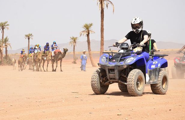 Live an unforgettable adventure, quad ride in the palm grove