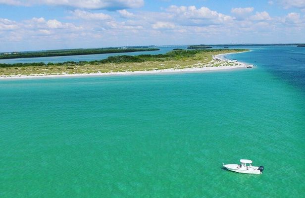 Private boat offering dolphin watching, island excursions and nature tours