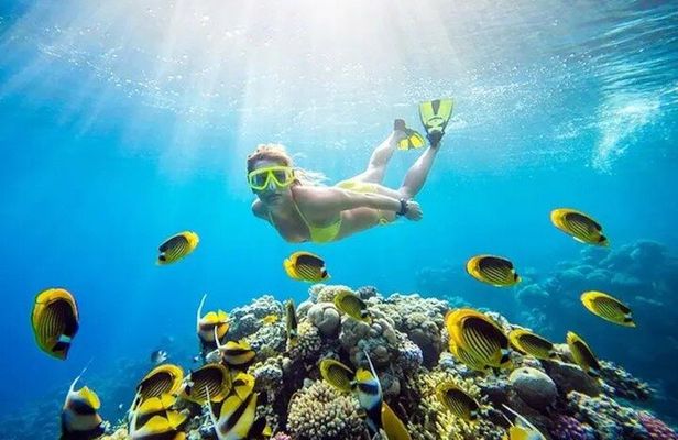  Canyon and Blue Hole Snorkeling Trip with Lunch from Dahab