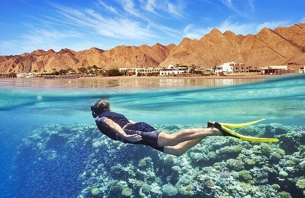 Canyon and Blue Hole Snorkeling Trip with Lunch from Sharm el Sheikh