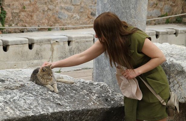PRIVATE Ephesus Full Day Tour from Izmir