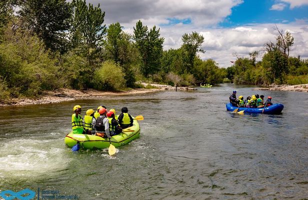 Boise River Guided Rafting, Swimming and Wildlife Tour