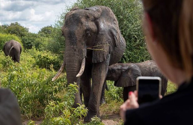 Safari Game Drive and Rhino Walk in Mosi-oa-Tunya National Park