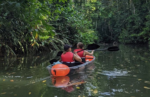 Clear Kayak Tour at Punta Uva