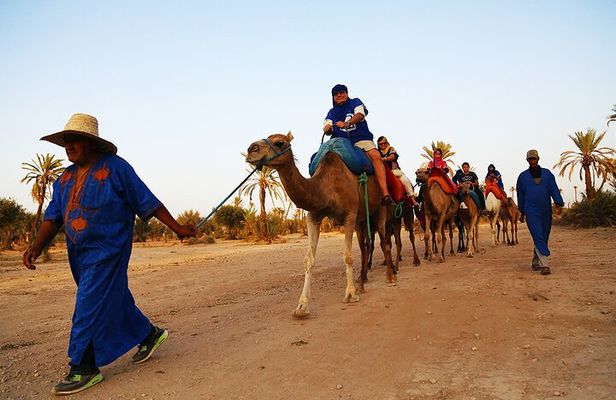 Camel ride + sunset + BBQ dinner in Agadir