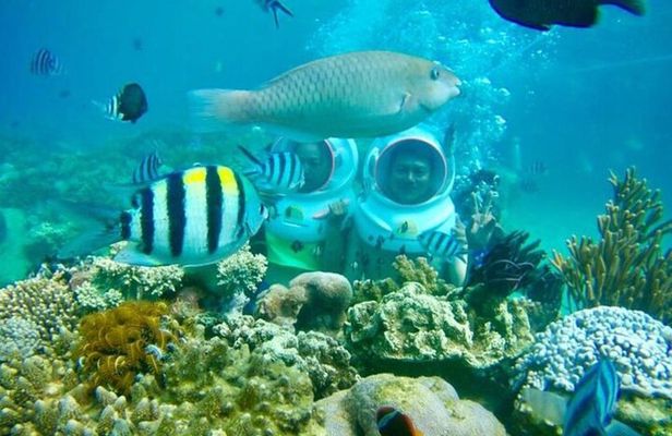 Bali Sea Walker