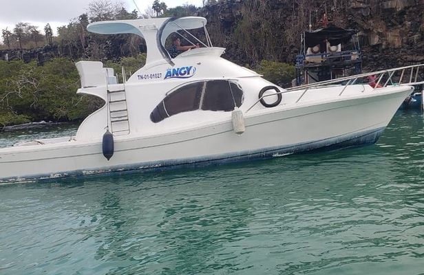 Transfer from Isabela Island to Santa Cruz Island