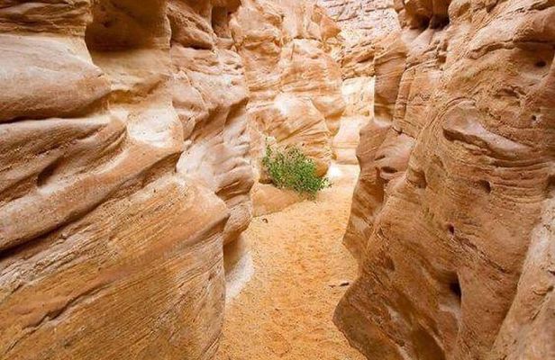 Colored Canyon and White Canyon Tour from Taba