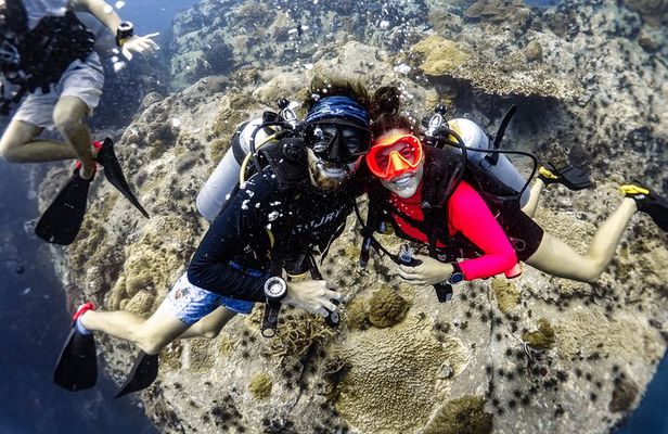Fun Diving Packages (Certified Divers)