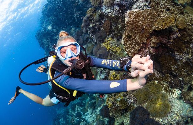 Open Water Course - Become certified diver in 3 days
