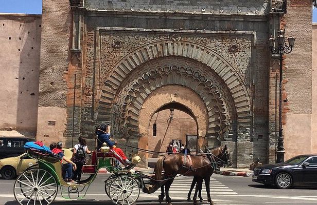 Majorelle-Menara garden & the Yves Saint Laurent museum Horse carriage tours