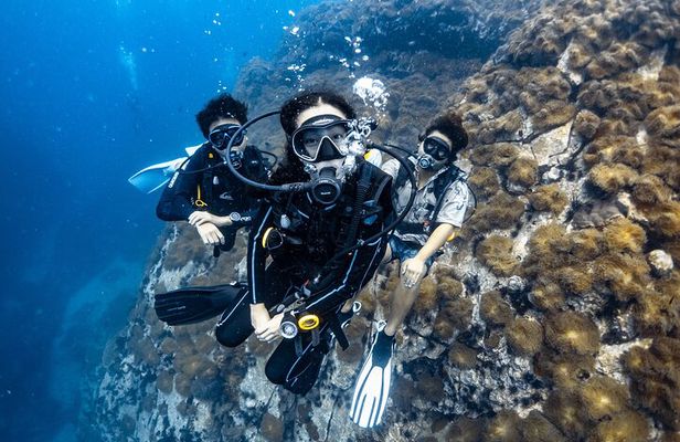 Advanced Adventurer - 2 days ( Advanced Open Water)
