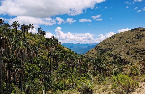 Hiking Tour in El Palmar from Sucre Bolivia