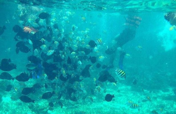 Cancun Jetski and Snorkel Adventure 