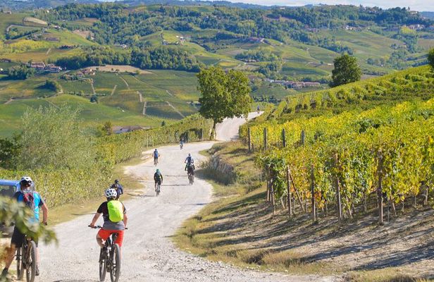 "Langhe del Barolo" Private E-bike Tour - Asphalt and Dirt Road