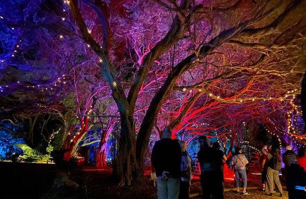 Wonderland by Night Norfolk Island