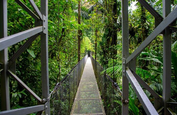 2-in-1 Best of La Fortuna. Hanging Bridges & Arenal Volcano + Traditional Lunch