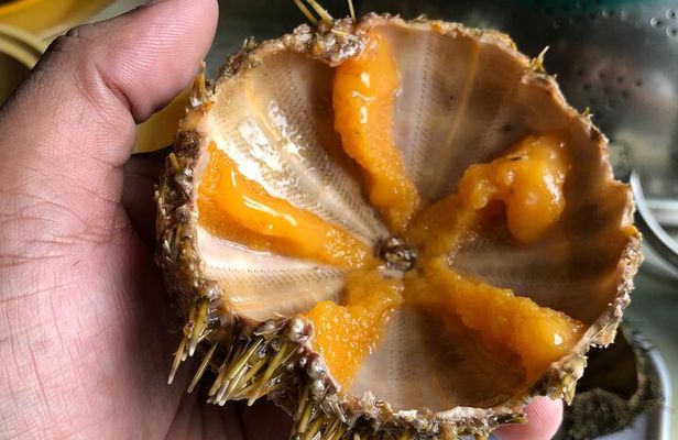 Bohol: Island Hopping