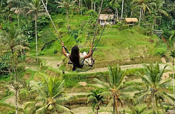 Ubud Waterfall Swing And Spring Temple Private Guided Tour