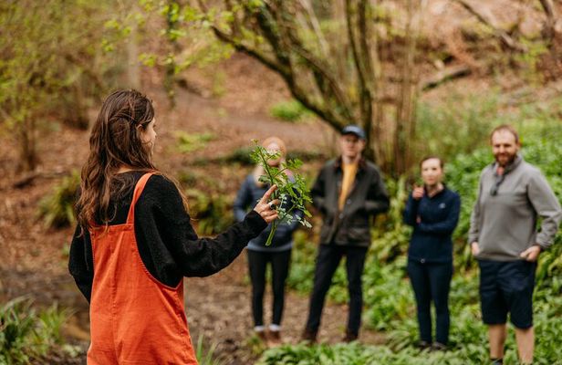 Learn to forage in Llangollen
