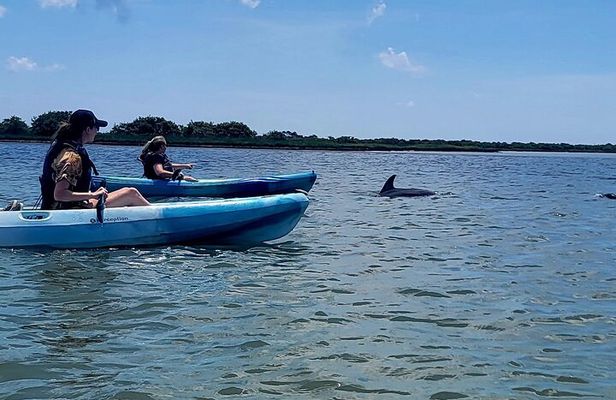 Kayaking St. Augustine's Original Dolphin Tour