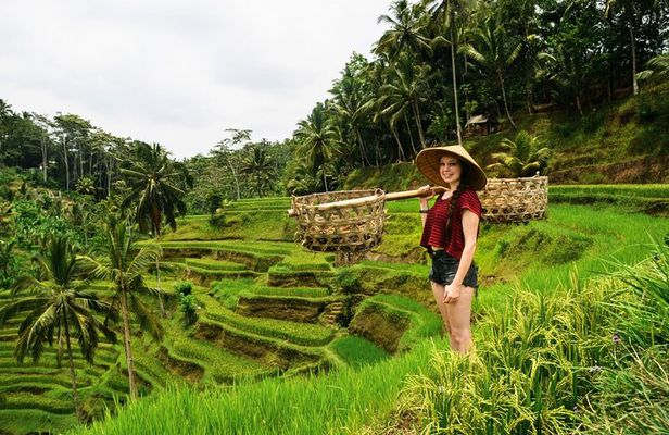 Best of Ubud 1-Day Private Tour
