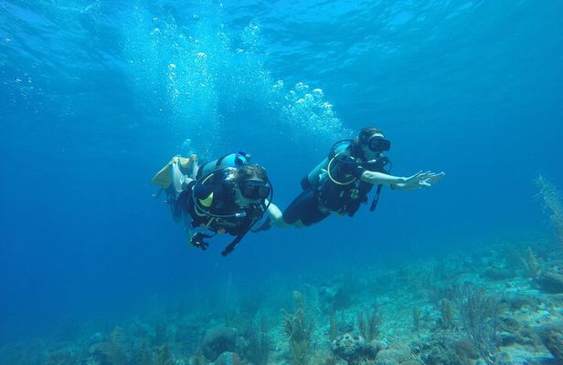 Half-Day Dive Tour in San Andres Island (CERTIFIED DIVERS ONLY)