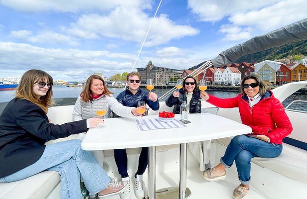 Evening private cruise in Bergen, possibility for a swim