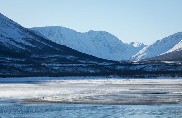 Bleu Day Tour: Fjord and Landscape by Creative Vacations