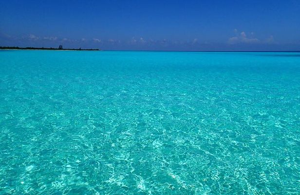 El Cielo Cozumel Snorkeling Tour - All-Inclusive
