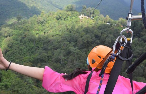 Skyline Jungle Luge
