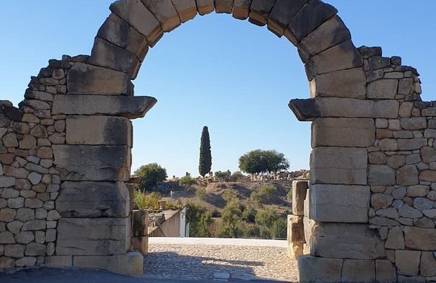 a day in Meknes Volubilis and Moulay Idriss from Fes