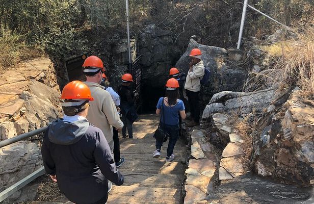 Half Day Cradle Of Humankind Tour