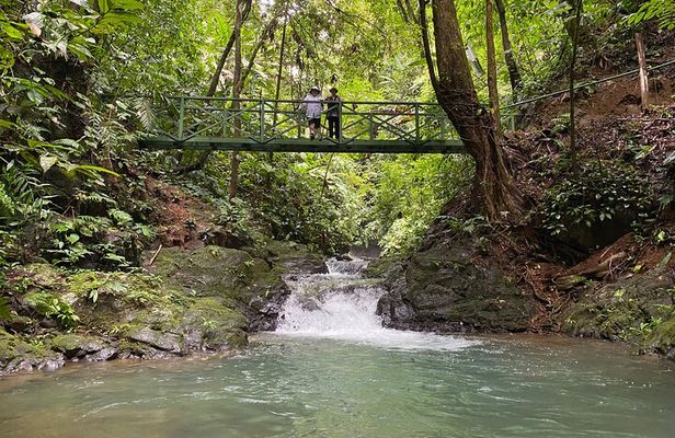 Guided hiking Tour by the Mystic Ebano Rainforest in Costa Rica