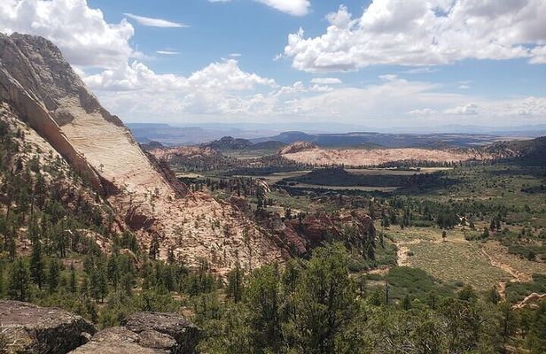 Zion National Park/Kolob Terrace Private 1/2 Day Sightseeing Tour