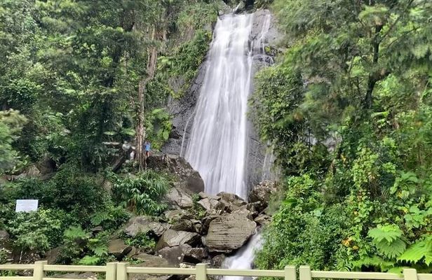 El Yunque National Forest and Luquillo Beach Tour