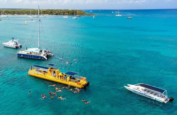 Saona Island at Yellow Submarine Exclusive Tour from Punta Cana