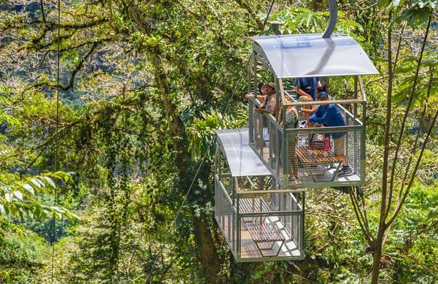 Veragua Rainforest Walk, Tram & Tortuguero Boat Tour. Limon Shore Excursion