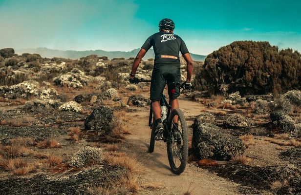 Kilimanjaro Shira Plateau E-Bike Day Trip